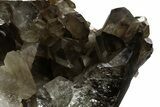 Dark Smoky Quartz Crystal Cluster on Metal Stand - Brazil #349471-5